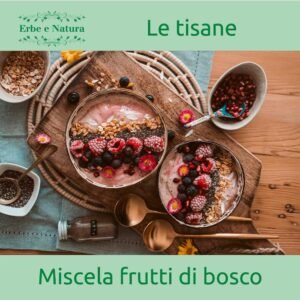 Erboristeria Erbe e Natura Erbamea Infuso Frutti di Bosco