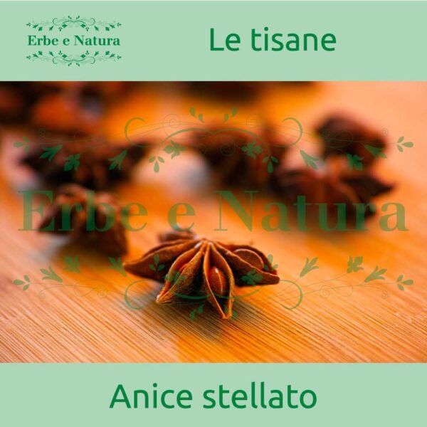 Erboristeria Erbe e Natura Erbamea Tisana Anice Stellato Frutti Interi 100 g