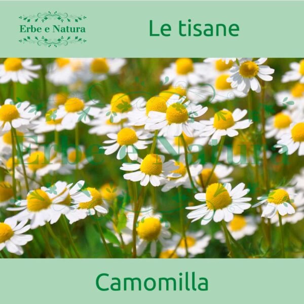 Erboristeria Erbe e Natura Erbamea Tisana Camomilla Fiori Extra Bio 100 g
