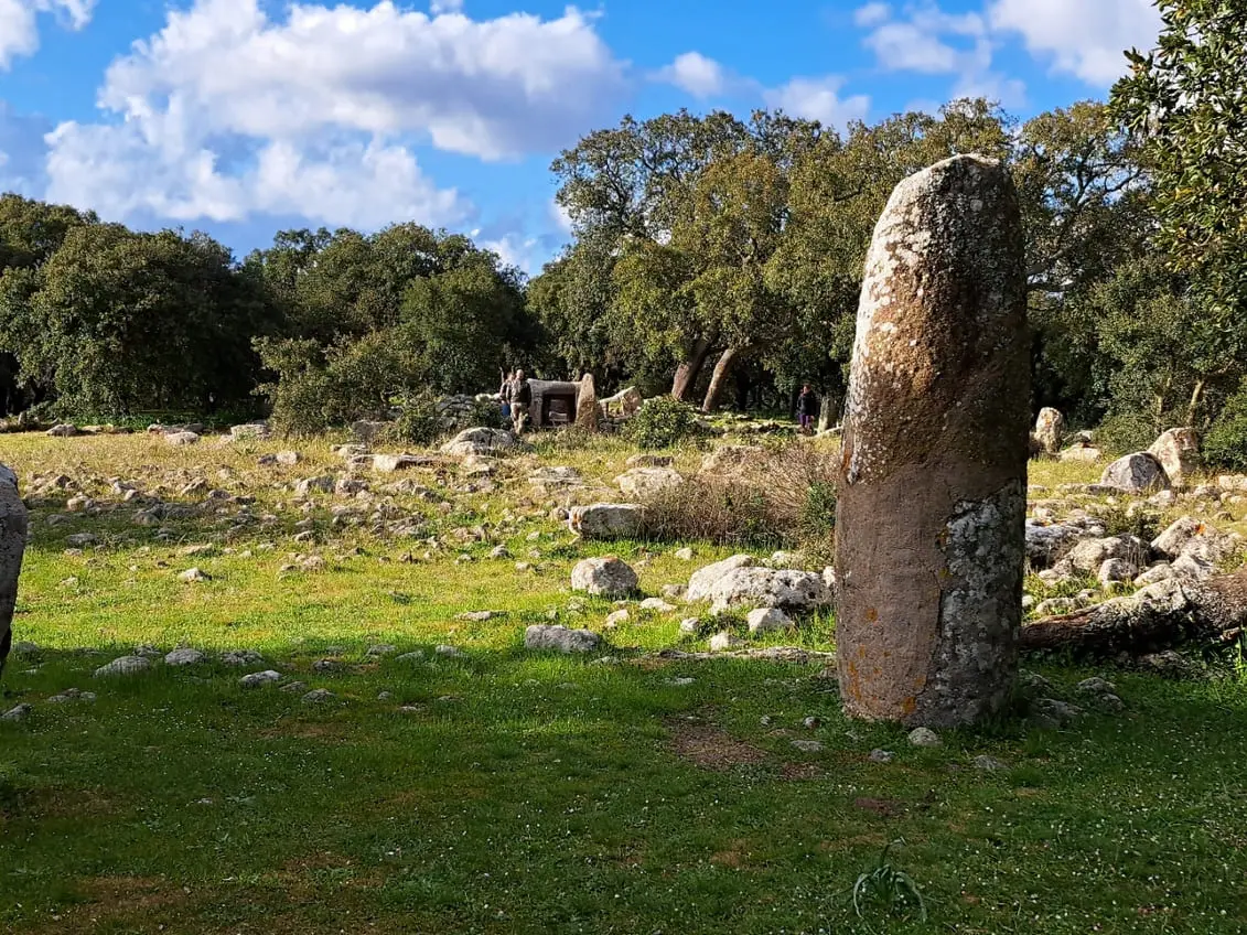 Allineamento di Menhir a Pranu Muttedu nelle passeggiate esperienziali Sardegna